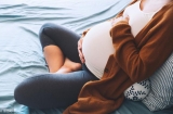 孕期每个月胎儿的变化「图」